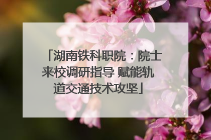 湖南铁科职院：院士来校调研指导 赋能轨道交通技术攻坚