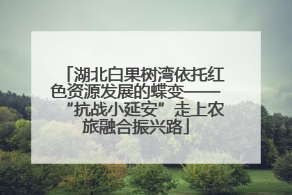 湖北白果树湾依托红色资源发展的蝶变——“抗战小延安”走上农旅融合振兴路