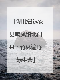 湖北省远安县鸣凤镇北门村：竹林遍野绿生金