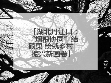 湖北丹江口：“烟粮协同”结硕果 绘就乡村振兴新画卷