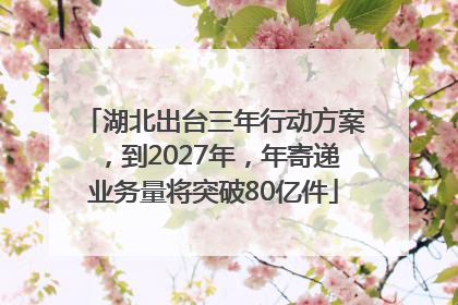 湖北出台三年行动方案，到2027年，年寄递业务量将突破80亿件
