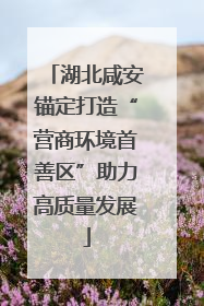 湖北咸安锚定打造“营商环境首善区”助力高质量发展
