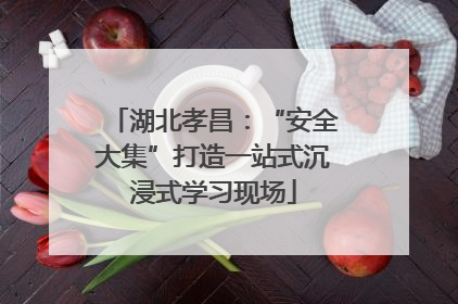 湖北孝昌：“安全大集”打造一站式沉浸式学习现场