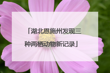 湖北恩施州发现三种两栖动物新记录