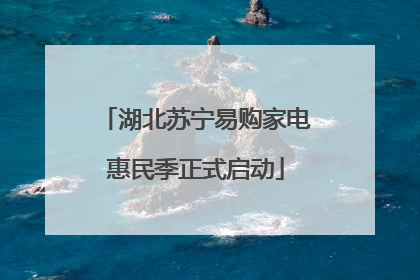 湖北苏宁易购家电惠民季正式启动