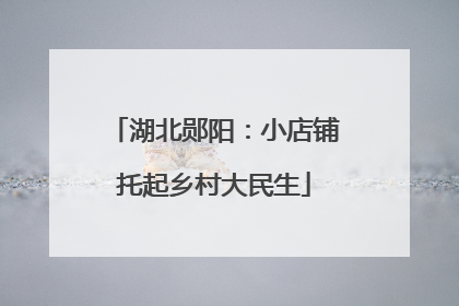 湖北郧阳：小店铺托起乡村大民生