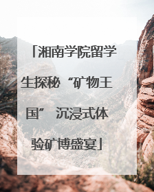 湘南学院留学生探秘“矿物王国” 沉浸式体验矿博盛宴