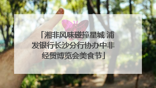 湘非风味碰撞星城 浦发银行长沙分行协办中非经贸博览会美食节