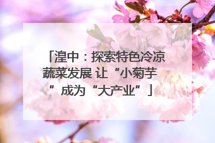 湟中：探索特色冷凉蔬菜发展 让“小菊芋”成为“大产业”