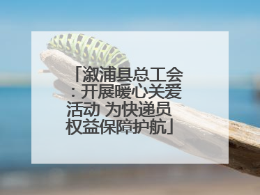 溆浦县总工会：开展暖心关爱活动 为快递员权益保障护航