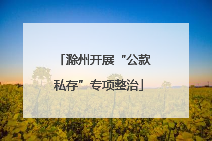 滁州开展“公款私存”专项整治