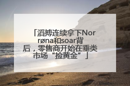 滔搏连续拿下Norrøna和soar背后，零售商开始在垂类市场“捡黄金”