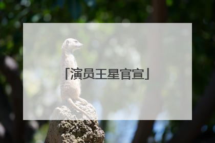 演员王星官宣