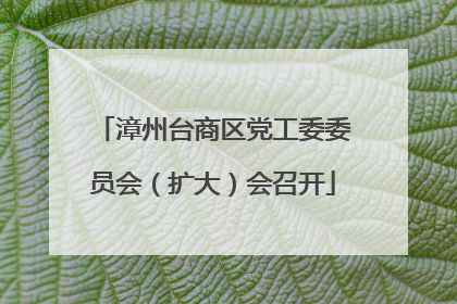 漳州台商区党工委委员会（扩大）会召开