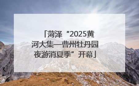 菏泽“2025黄河大集—曹州牡丹园夜游消夏季”开幕