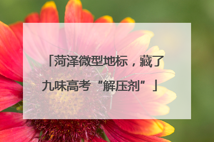 菏泽微型地标，藏了九味高考“解压剂”