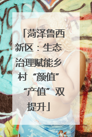 菏泽鲁西新区：生态治理赋能乡村“颜值”“产值”双提升