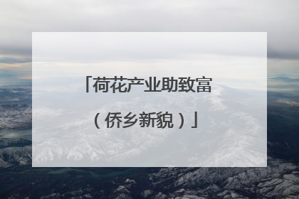 荷花产业助致富（侨乡新貌）