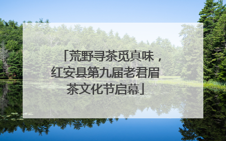 荒野寻茶觅真味，红安县第九届老君眉茶文化节启幕