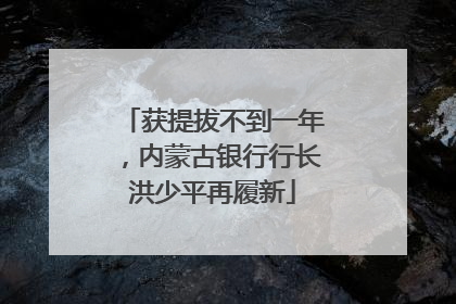 获提拔不到一年，内蒙古银行行长洪少平再履新