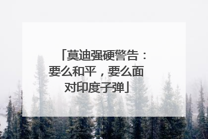 莫迪强硬警告：要么和平，要么面对印度子弹