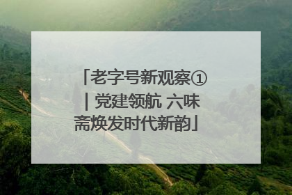 老字号新观察①｜党建领航 六味斋焕发时代新韵
