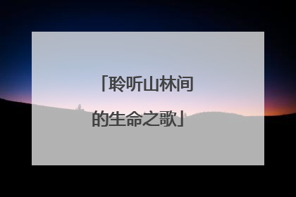 聆听山林间的生命之歌