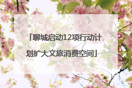 聊城启动12项行动计划扩大文旅消费空间
