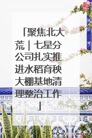 聚焦北大荒｜七星分公司扎实推进水稻育秧大棚基地清理整治工作