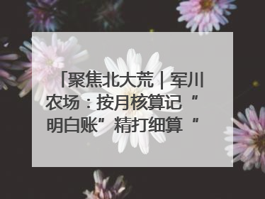 聚焦北大荒｜军川农场：按月核算记“明白账”精打细算“过紧日子”