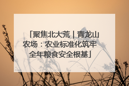 聚焦北大荒｜青龙山农场：农业标准化筑牢全年粮食安全根基