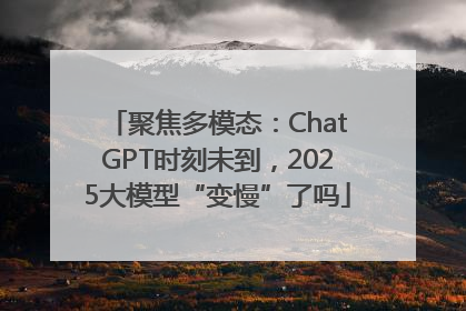 聚焦多模态：ChatGPT时刻未到，2025大模型“变慢”了吗