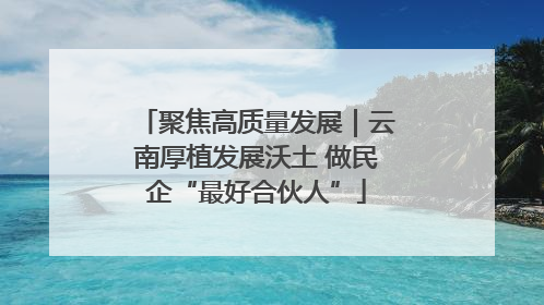 聚焦高质量发展｜云南厚植发展沃土 做民企“最好合伙人”