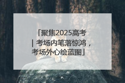 聚焦2025高考｜考场内笔落惊鸿，考场外心绘蓝图