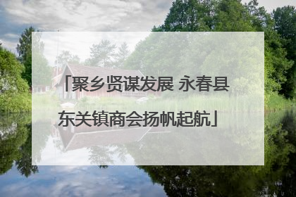 聚乡贤谋发展 永春县东关镇商会扬帆起航