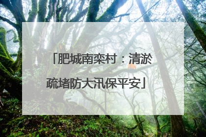 肥城南栾村：清淤疏堵防大汛保平安