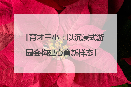 育才三小：以沉浸式游园会构建心育新样态