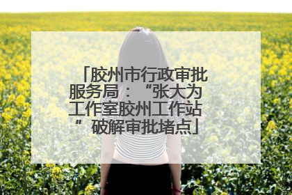 胶州市行政审批服务局：“张大为工作室胶州工作站”破解审批堵点