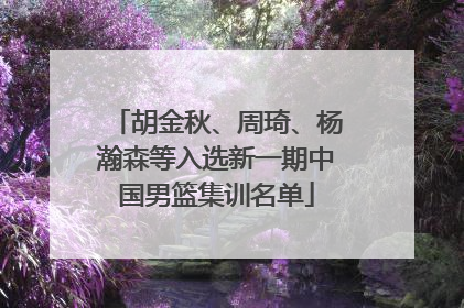 胡金秋、周琦、杨瀚森等入选新一期中国男篮集训名单