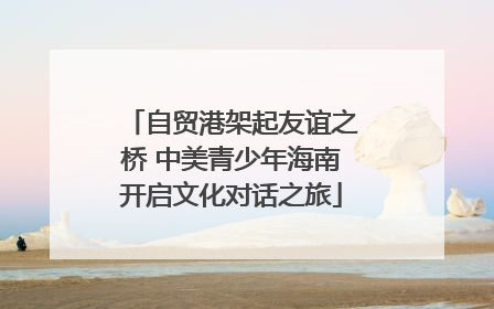 自贸港架起友谊之桥 中美青少年海南开启文化对话之旅