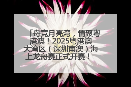 舟竞月亮湾，情聚粤港澳！2025粤港澳大湾区（深圳南澳）海上龙舟赛正式开赛！_深圳新闻网