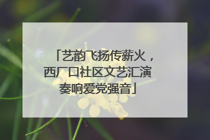 艺韵飞扬传薪火，西厂口社区文艺汇演奏响爱党强音