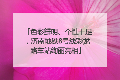 色彩鲜明、个性十足，济南地铁8号线彩龙路车站绚丽亮相