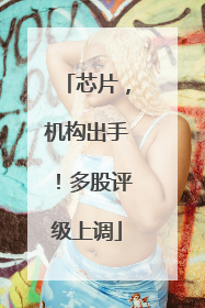 芯片，机构出手！多股评级上调