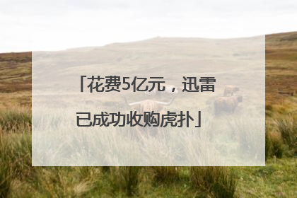 花费5亿元，迅雷已成功收购虎扑