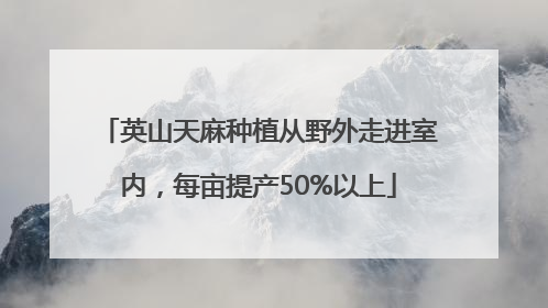 英山天麻种植从野外走进室内，每亩提产50%以上