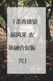 茶香盛宴展风采 农旅融合促振兴