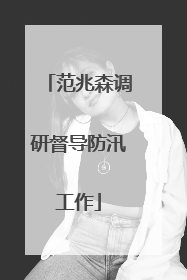 范兆森调研督导防汛工作
