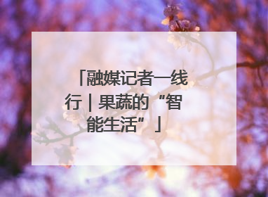 融媒记者一线行｜果蔬的“智能生活”