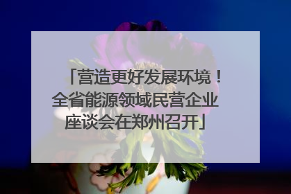 营造更好发展环境！全省能源领域民营企业座谈会在郑州召开